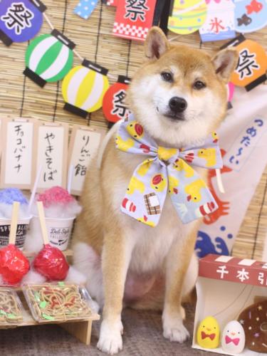 20240730マロンちゃん